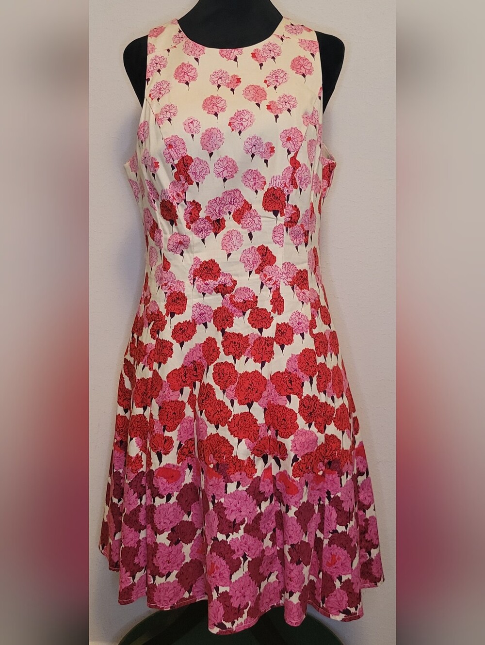 Maggy London Sleeveless Floral Fit-and-Flare Dress in Pink and Red
